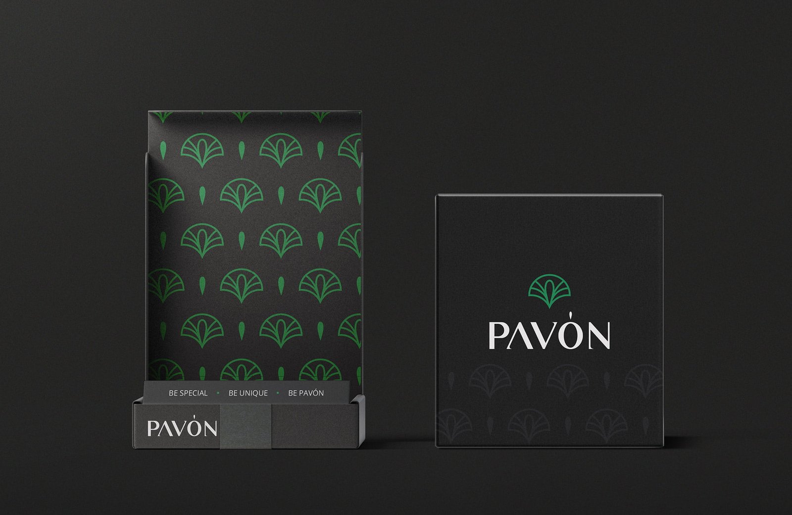 PavonWatches packaging1