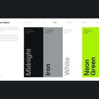 Overtonez Brand Guidelines Template Primary Color Palette Page