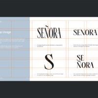 Senora - brand guidebook template page construction
